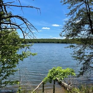 Meet your Posher, Lesley